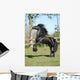 Friesian Stallion Prancing Wall Mural