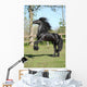 Friesian Stallion Prancing Wall Mural
