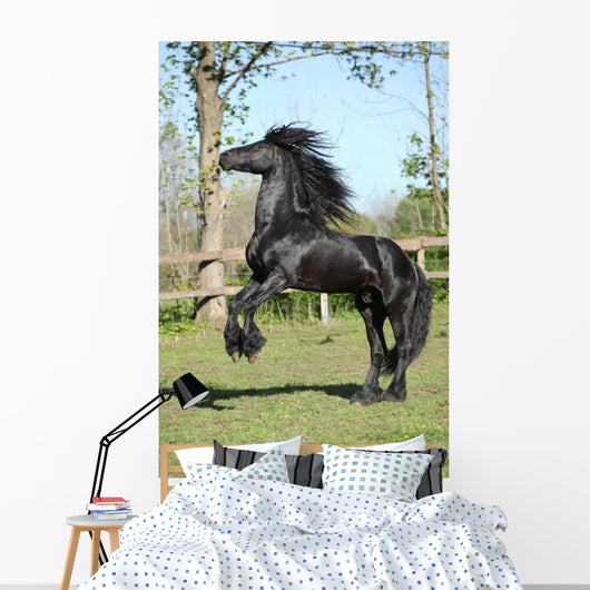Friesian Stallion Prancing Wall Mural