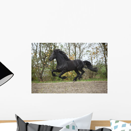 Perfect Friesian Stallion Flying Wall Mural