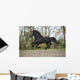 Perfect Friesian Stallion Flying Wall Mural