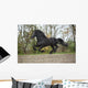 Perfect Friesian Stallion Flying Wall Mural