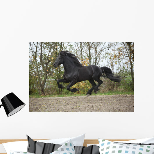 Perfect Friesian Stallion Flying Wall Mural