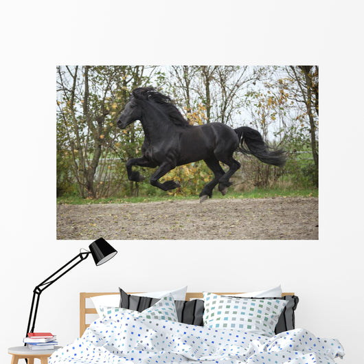 Perfect Friesian Stallion Flying Wall Mural
