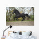 Perfect Friesian Stallion Flying Wall Mural