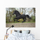 Perfect Friesian Stallion Flying Wall Mural