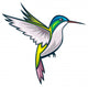 Hummingbird Andean Emerald