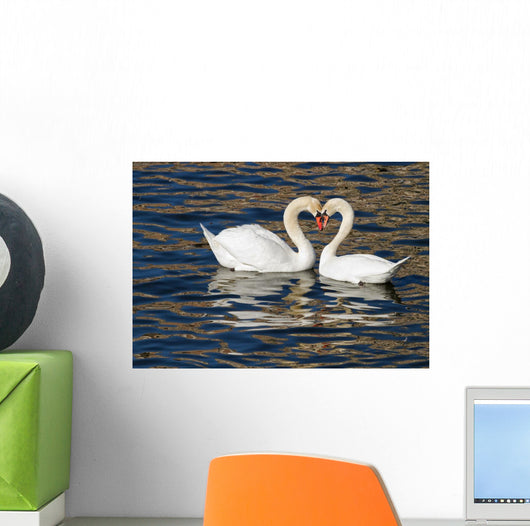 Romantic Swans Spring