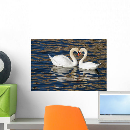 Romantic Swans Spring