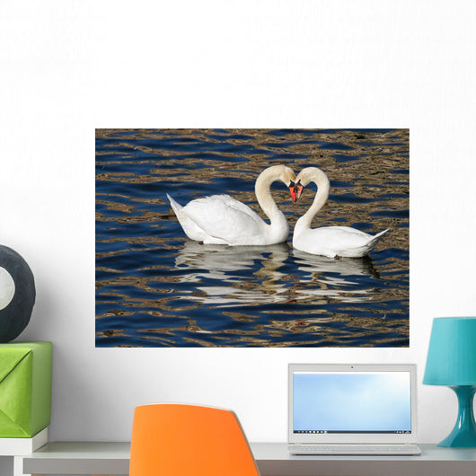 Romantic Swans Spring