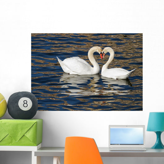 Romantic Swans Spring