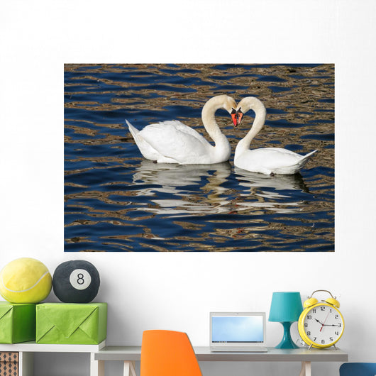 Romantic Swans Spring