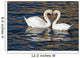 Romantic Swans Spring