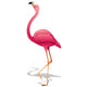 Pink Flamingo Pink Flamingo-Vector- Wall Decal
