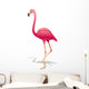 Pink Flamingo Pink Flamingo-vector