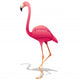 Pink Flamingo Pink Flamingo-vector