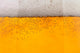 Beer Bubbles Closeup