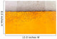 Beer Bubbles Closeup
