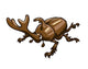 Beetle Wall Decal