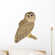 Barred Owl Wall Decal