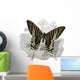 Vintage Butterfly Wall Mural