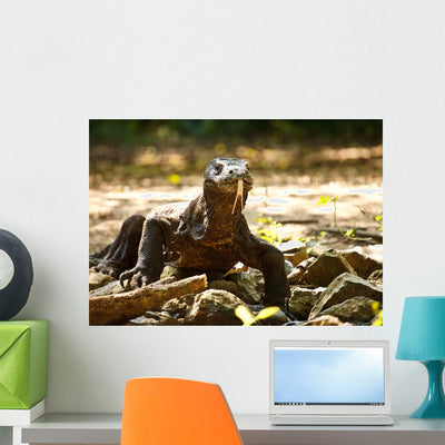 Komodo Dragon shown on a wall