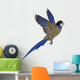 Parrot --- Northern Rosella Wall Decal