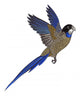 Parrot --- Northern Rosella Wall Decal