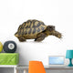 Herman's Tortoise - Testudo hermanni Wall Decal