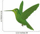 Hummingbird