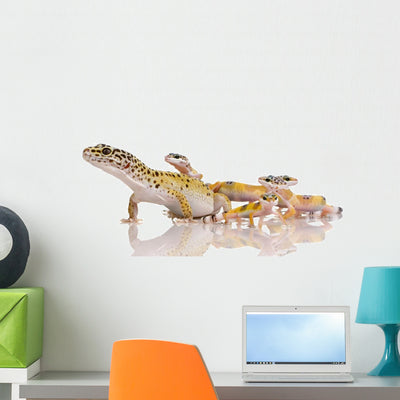 Leopard Gecko Eublepharis Macularius Wall Decal shown on a wall