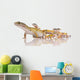 Leopard Gecko - Eublepharis Macularius Wall Decal