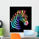 Colored zebra on black Wall Mural