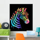 Colored zebra on black Wall Mural
