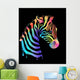 Colored zebra on black Wall Mural