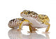 Leopard Gecko Eublepharis Macularius