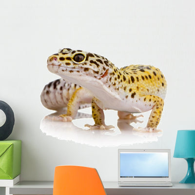 Leopard Gecko Wall Decal shown on a wall