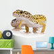 Leopard Gecko - Eublepharis Macularius Wall Decal