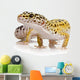 Leopard Gecko - Eublepharis Macularius Wall Decal