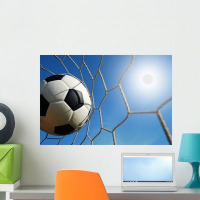 Soccer Stadium Blue Sky Wall Mural shown on a wall