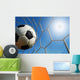 Soccer Stadium Blue Sky Wall Mural