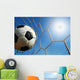 Soccer Stadium Blue Sky Wall Mural