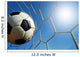 Soccer Stadium Blue Sky Wall Mural
