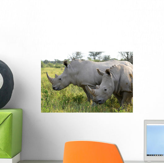 Up Rhino Khama Reserve