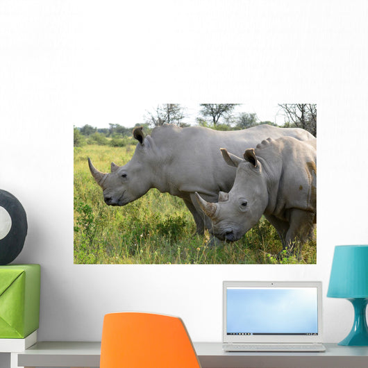 Up Rhino Khama Reserve