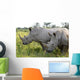 Up Rhino Khama Reserve