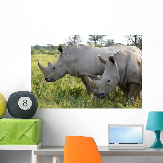 Up Rhino Khama Reserve