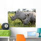Up Rhino Khama Reserve