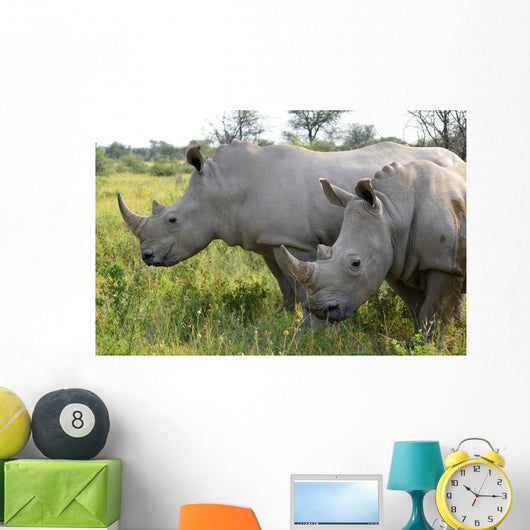 Up Rhino Khama Reserve