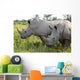 Up Rhino Khama Reserve